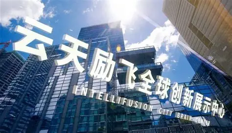 云天励飞